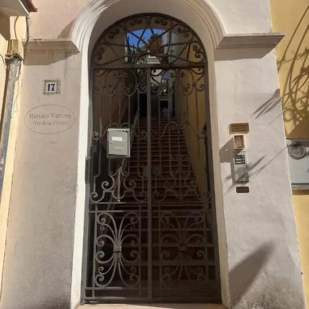 Belvedere 17
